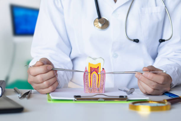 Best Cosmetic Emergency Dentistry in Lavalette, WV